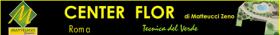 CENTERFLOR - vivaio    