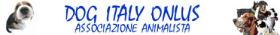 DOG ITALY ONLUS