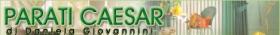 PARATI CAESAR - vendita parati  Dal 1969, Parati Caesar � l'affidabile punto di riferimento cui si rivolge una clientela affezionata per ogni problema legato alla decorazione della casa, come Carta da Parati, Plastiche, Tessuti, Stucchi, Cornici, Moquette, Parquet, Tendaggi, Pavimentazioni, Colori, Vernici e Coibenti Acustici.

Siamo veri specialisti in questo settore anche per l' aspetto tecnico, ... 